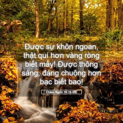 Picture 05 - Châm Ngôn 16:16 VIE - Được sự khôn ngoan, thật quí hơn vàng - Bible Verse Picture