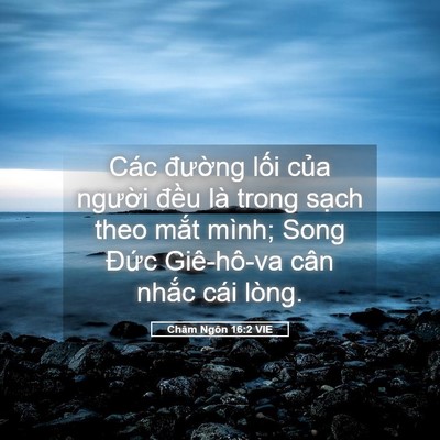 Picture 05 - Châm Ngôn 16:2 VIE - Các đường lối của người đều là - Bible Verse Picture