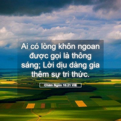 Picture 05 - Châm Ngôn 16:21 VIE - Ai có lòng khôn ngoan được gọi là - Bible Verse Picture
