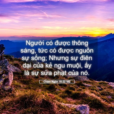 Picture 05 - Châm Ngôn 16:22 VIE - Người có được thông sáng, tức có - Bible Verse Picture