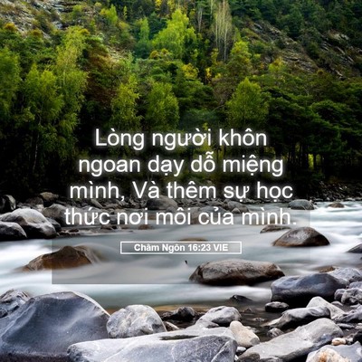 Picture 05 - Châm Ngôn 16:23 VIE - Lòng người khôn ngoan dạy dỗ miệng - Bible Verse Picture