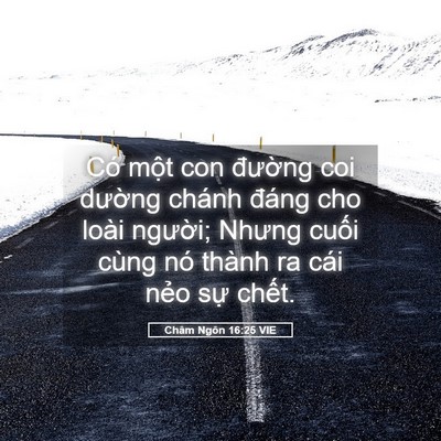 Picture 05 - Châm Ngôn 16:25 VIE - Có một con đường coi dường chánh - Bible Verse Picture