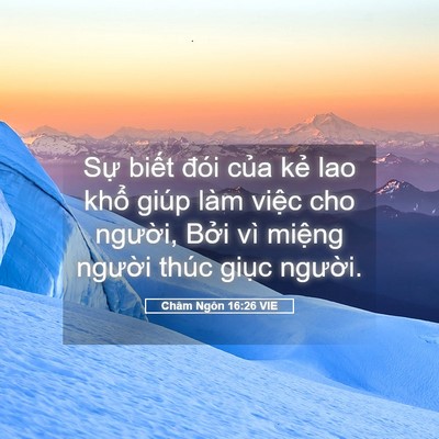 Picture 05 - Châm Ngôn 16:26 VIE - Sự biết đói của kẻ lao khổ giúp làm - Bible Verse Picture