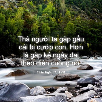 Picture 05 - Châm Ngôn 17:12 VIE - Thà người ta gặp gấu cái bị cướp - Bible Verse Picture