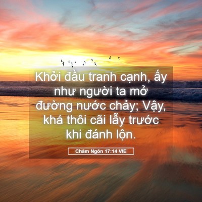 Picture 05 - Châm Ngôn 17:14 VIE - Khởi đầu tranh cạnh, ấy như người ta - Bible Verse Picture