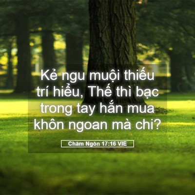 Picture 05 - Châm Ngôn 17:16 VIE - Kẻ ngu muội thiếu trí hiểu, Thế thì - Bible Verse Picture