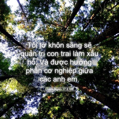 Picture 05 - Châm Ngôn 17:2 VIE - Tôi tớ khôn sáng sẽ quản trị con trai - Bible Verse Picture