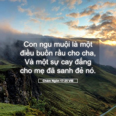 Picture 05 - Châm Ngôn 17:25 VIE - Con ngu muội là một điều buồn rầu cho - Bible Verse Picture