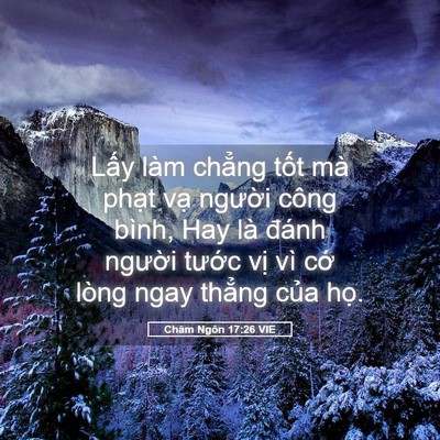 Picture 05 - Châm Ngôn 17:26 VIE - Lấy làm chẳng tốt mà phạt vạ người - Bible Verse Picture