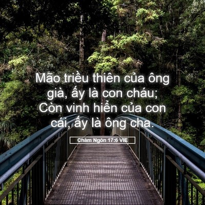 Picture 05 - Châm Ngôn 17:6 VIE - Mão triều thiên của ông già, ấy là con - Bible Verse Picture