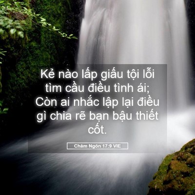 Picture 05 - Châm Ngôn 17:9 VIE - Kẻ nào lấp giấu tội lỗi tìm cầu - Bible Verse Picture