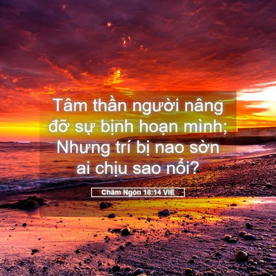 Picture 05 - Châm Ngôn 18:14 VIE - Tâm thần người nâng đỡ sự bịnh - Bible Verse Picture