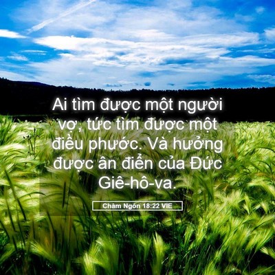 Picture 05 - Châm Ngôn 18:22 VIE - Ai tìm được một người vợ, tức tìm - Bible Verse Picture