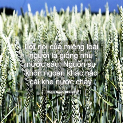 Picture 05 - Châm Ngôn 18:4 VIE - Lời nói của miệng loài người là - Bible Verse Picture