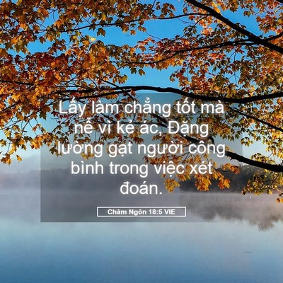 Picture 05 - Châm Ngôn 18:5 VIE - Lấy làm chẳng tốt mà nể vì kẻ ác, - Bible Verse Picture