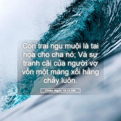 Picture 05 - Châm Ngôn 19:13 VIE - Con trai ngu muội là tai họa cho cha nó; - Bible Verse Picture
