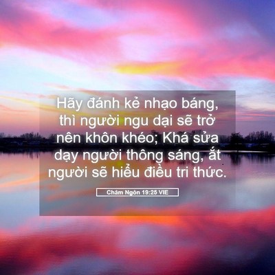 Picture 05 - Châm Ngôn 19:25 VIE - Hãy đánh kẻ nhạo báng, thì người ngu - Bible Verse Picture