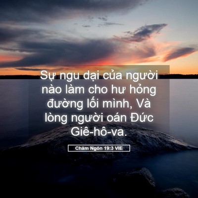 Picture 05 - Châm Ngôn 19:3 VIE - Sự ngu dại của người nào làm cho hư - Bible Verse Picture