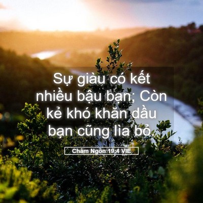 Picture 05 - Châm Ngôn 19:4 VIE - Sự giàu có kết nhiều bậu bạn; Còn - Bible Verse Picture