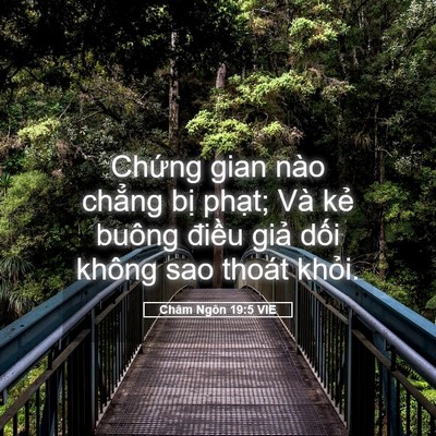 Picture 05 - Châm Ngôn 19:5 VIE - Chứng gian nào chẳng bị phạt; Và kẻ - Bible Verse Picture