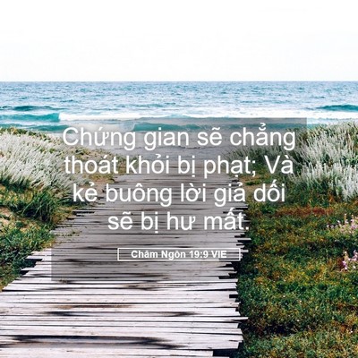 Picture 05 - Châm Ngôn 19:9 VIE - Chứng gian sẽ chẳng thoát khỏi bị - Bible Verse Picture
