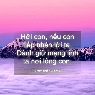 Picture 05 - Châm Ngôn 2:1 VIE - Hỡi con, nếu con tiếp nhận lời ta, - Bible Verse Picture