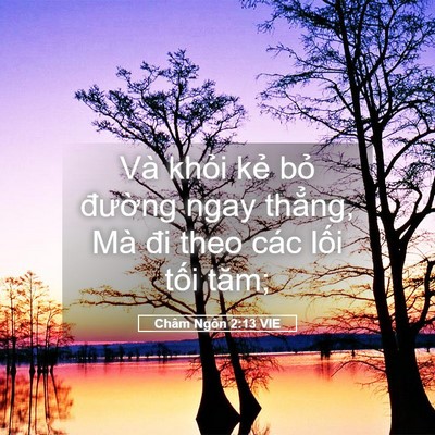 Picture 05 - Châm Ngôn 2:13 VIE - Và khỏi kẻ bỏ đường ngay thẳng, Mà - Bible Verse Picture