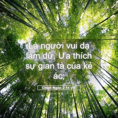 Picture 05 - Châm Ngôn 2:14 VIE - Là người vui dạ làm dữ, Ưa thích sự - Bible Verse Picture