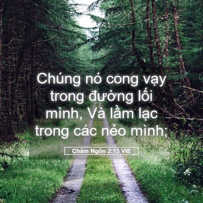 Picture 05 - Châm Ngôn 2:15 VIE - Chúng nó cong vạy trong đường lối - Bible Verse Picture