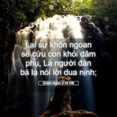 Picture 05 - Châm Ngôn 2:16 VIE - Lại sự khôn ngoan sẽ cứu con khỏi dâm - Bible Verse Picture