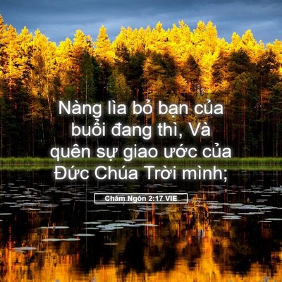 Picture 05 - Châm Ngôn 2:17 VIE - Nàng lìa bỏ bạn của buổi đang thì, - Bible Verse Picture