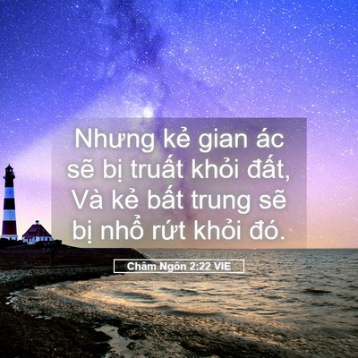 Picture 05 - Châm Ngôn 2:22 VIE - Nhưng kẻ gian ác sẽ bị truất khỏi - Bible Verse Picture