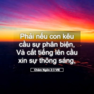Picture 05 - Châm Ngôn 2:3 VIE - Phải nếu con kêu cầu sự phân biện, - Bible Verse Picture
