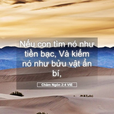 Picture 05 - Châm Ngôn 2:4 VIE - Nếu con tìm nó như tiền bạc, Và kiếm - Bible Verse Picture