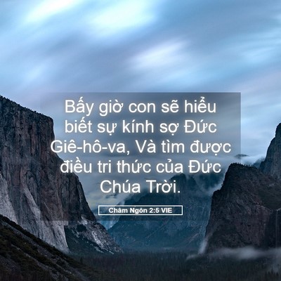 Picture 05 - Châm Ngôn 2:5 VIE - Bấy giờ con sẽ hiểu biết sự kính - Bible Verse Picture