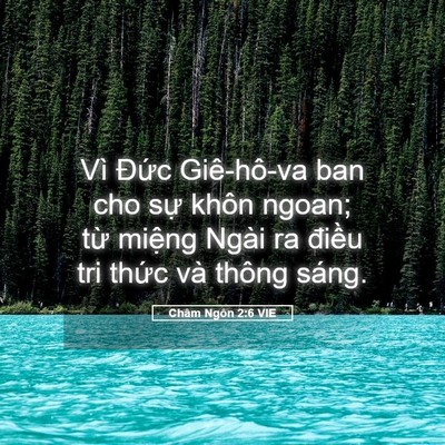 Picture 05 - Châm Ngôn 2:6 VIE - Vì Đức Giê-hô-va ban cho sự khôn ngoan; - Bible Verse Picture