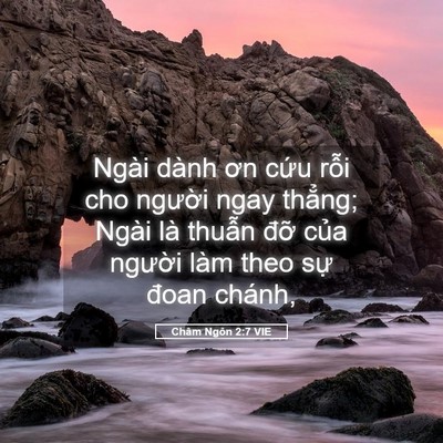 Picture 05 - Châm Ngôn 2:7 VIE - Ngài dành ơn cứu rỗi cho người ngay - Bible Verse Picture