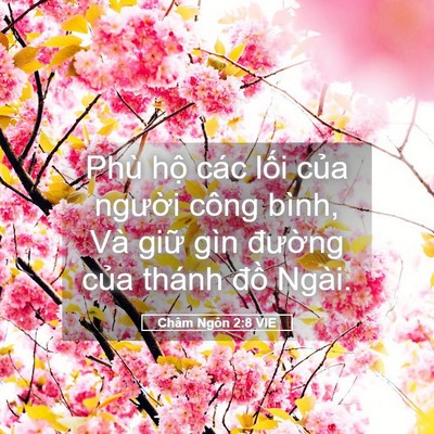 Picture 05 - Châm Ngôn 2:8 VIE - Phù hộ các lối của người công bình, - Bible Verse Picture