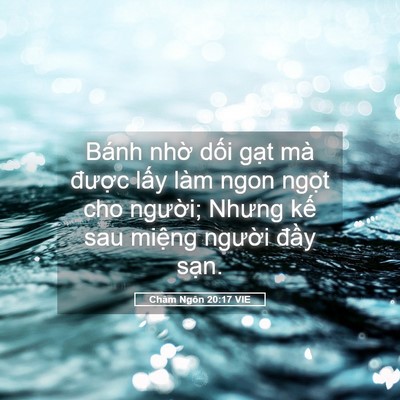 Picture 05 - Châm Ngôn 20:17 VIE - Bánh nhờ dối gạt mà được lấy làm - Bible Verse Picture