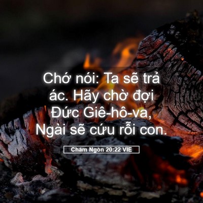 Picture 05 - Châm Ngôn 20:22 VIE - Chớ nói: Ta sẽ trả ác. Hãy chờ đợi - Bible Verse Picture