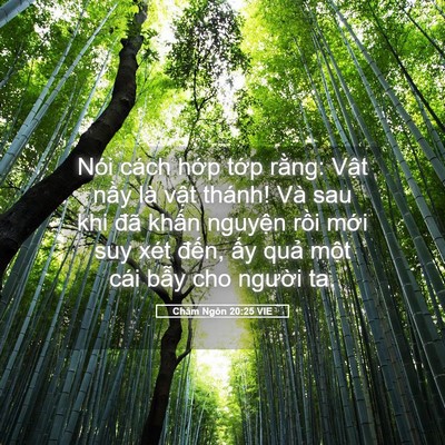 Picture 05 - Châm Ngôn 20:25 VIE - Nói cách hớp tớp rằng: Vật nầy là - Bible Verse Picture