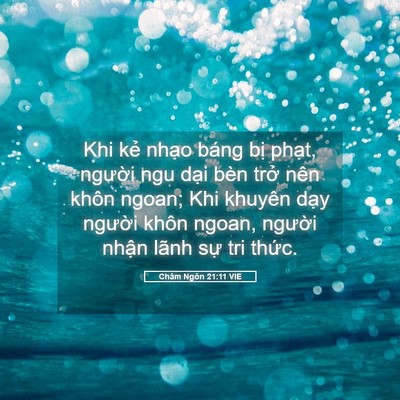 Picture 05 - Châm Ngôn 21:11 VIE - Khi kẻ nhạo báng bị phạt, người ngu - Bible Verse Picture