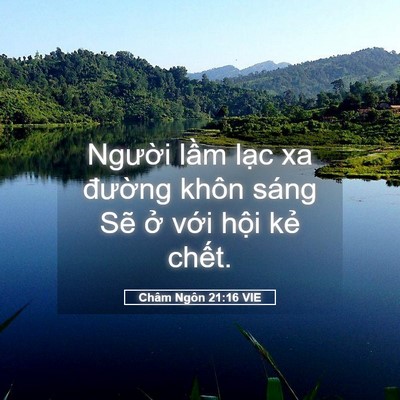 Picture 05 - Châm Ngôn 21:16 VIE - Người lầm lạc xa đường khôn sáng - Bible Verse Picture