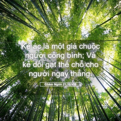 Picture 05 - Châm Ngôn 21:18 VIE - Kẻ ác là một giá chuộc người công - Bible Verse Picture