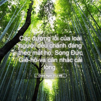 Picture 05 - Châm Ngôn 21:2 VIE - Các đường lối của loài người đều - Bible Verse Picture