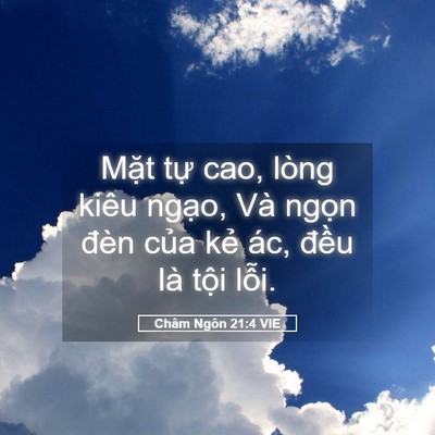 Picture 05 - Châm Ngôn 21:4 VIE - Mặt tự cao, lòng kiêu ngạo, Và ngọn - Bible Verse Picture