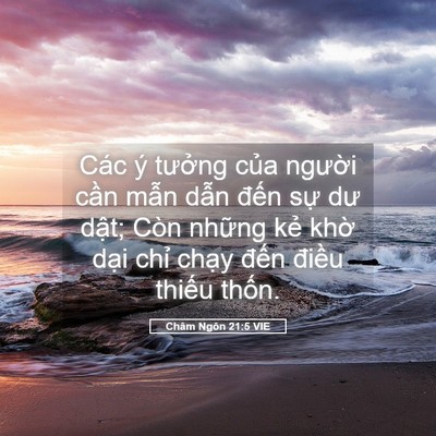 Picture 05 - Châm Ngôn 21:5 VIE - Các ý tưởng của người cần mẫn dẫn - Bible Verse Picture