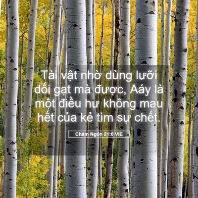 Picture 05 - Châm Ngôn 21:6 VIE - Tài vật nhờ dùng lưỡi dối gạt mà - Bible Verse Picture