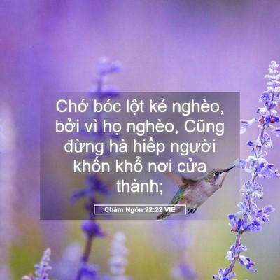 Picture 05 - Châm Ngôn 22:22 VIE - Chớ bóc lột kẻ nghèo, bởi vì họ - Bible Verse Picture