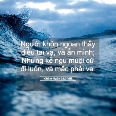 Picture 05 - Châm Ngôn 22:3 VIE - Người khôn ngoan thấy điều tai vạ, và - Bible Verse Picture